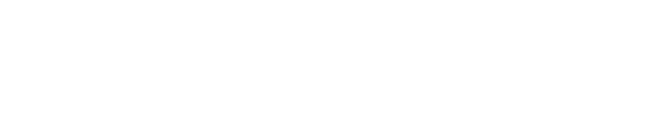 Aml Services SRL logo
